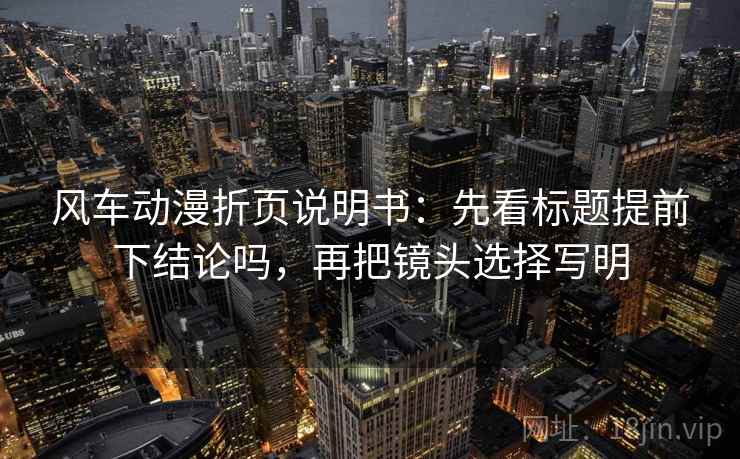 风车动漫折页说明书：先看标题提前下结论吗，再把镜头选择写明  第2张