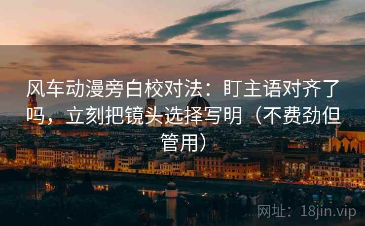 风车动漫旁白校对法：盯主语对齐了吗，立刻把镜头选择写明（不费劲但管用）  第2张